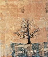 Baum auf Fels