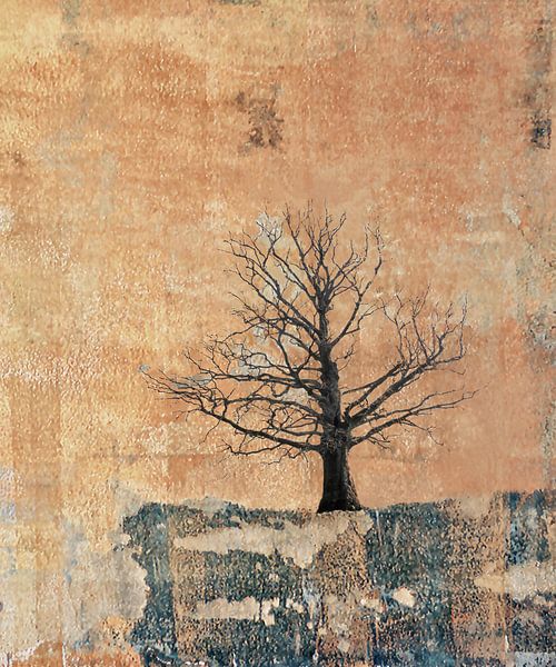 Arbre sur un rocher par Esther Wijntje
