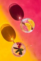 Vrolijke gin tonics