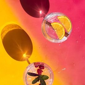 Fröhlicher Gin und Tonics von Amber de Jongh