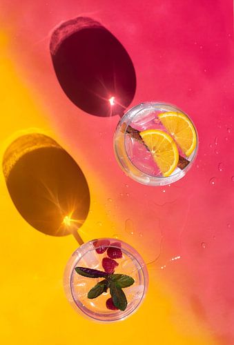 Vrolijke gin tonics van Amber de Jongh