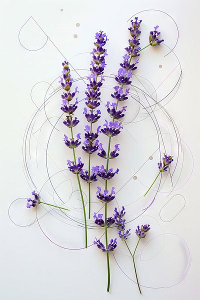 Lavendel van Poster Art Shop