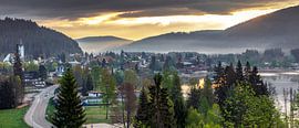 Titisee dans la lumière du matin