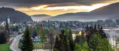 Titisee in het ochtendlicht