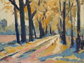 Country road between Best and Oirschot by Nop Briex thumbnail