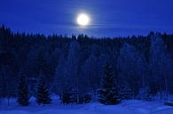 Moon in snowy landscape by M M thumbnail