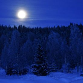 Moon in snowy landscape by M M