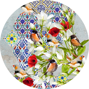 Vogeltjes en Marokkaanse tegeltjes van Postergirls