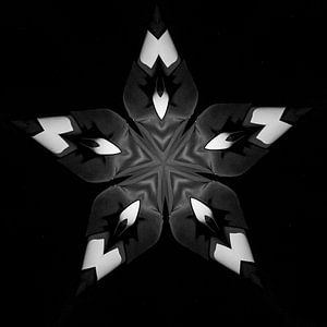 Monochrome Bestellung