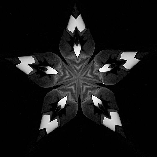 Monochrome Orde van Karin van Bylevelt