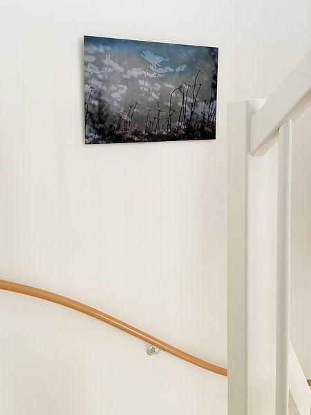 Customer photo: Abstract photography | Abstract expressionism | Modern abstract | A lawn full of wild daisies by Art. by Janine