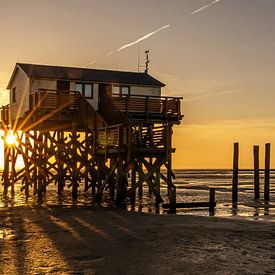 Pile dwellings on the North Sea coast on the beach at St. Peter Ording at sunset by Frank Herrmann