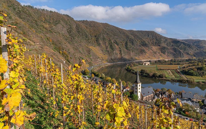 Bremm, Moselle, Rhénanie-Palatinat, Allemagne par Alexander Ludwig