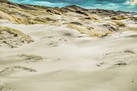 sloping dunes along the sea strip Dutch coast by eric van der eijk thumbnail