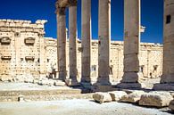Palmyra in Syrië van René Holtslag thumbnail