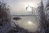 Cold misty morning