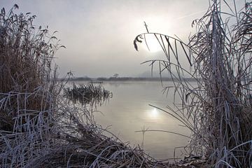 Koude mistige wintermorgen. van Jaco Verpoorte