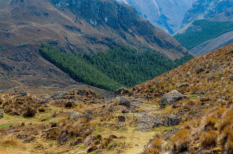 Ecuador: El Cajas National Park (Azuay) van Maarten Verhees