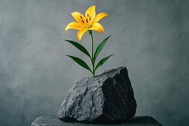 Lelie met ruwe steen van Imperial Art House