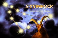 Sternzeichen - Steinbock von Christine Nöhmeier Miniaturansicht
