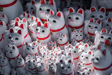 Glückliche Katzen - Maneki Neko in Tokio Japan von Angelique van Esch