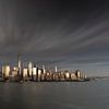 New York City Skyline Metallic van Marieke Feenstra