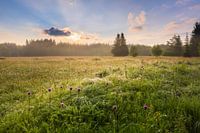 Sunrise in the meadows of the Ore Mountains