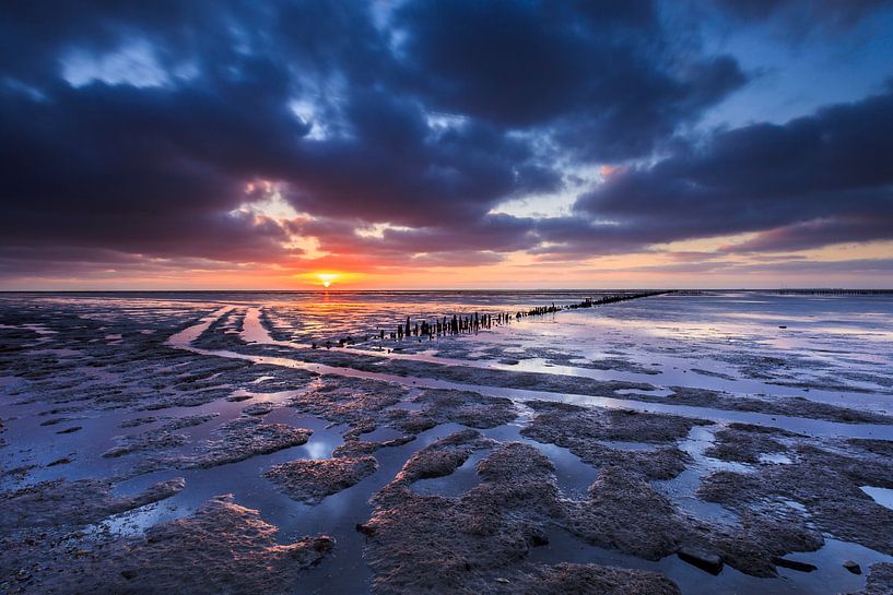 Pfad durch das Wattenmeer von Karla Leeftink