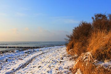 Winter op de hoge oever van Ostsee Bilder