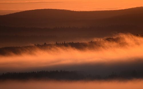 Een mist op een herfstmorgen