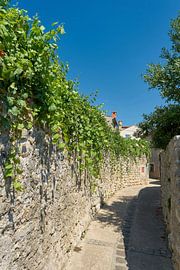 vieille ruelle idyllique passant devant de nombreux jardins à Krk en Croatie sur Heiko Kueverling
