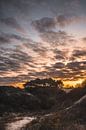 Zonsopkomst over de duinen van Jan Willem De Vos thumbnail