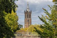 St Christopher's Cathedral in Roermond amid greenery by Triki Photography thumbnail