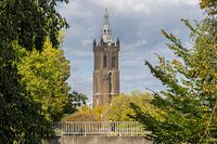 St Christopher's Cathedral in Roermond amid greenery