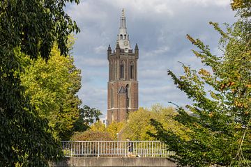 De Sint-Christoffelkathedraal te Roermond midden van groen van Triki Photography