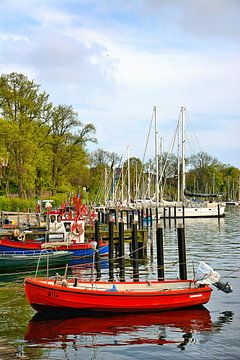 In de zeilhaven van Neustadt in Holstein