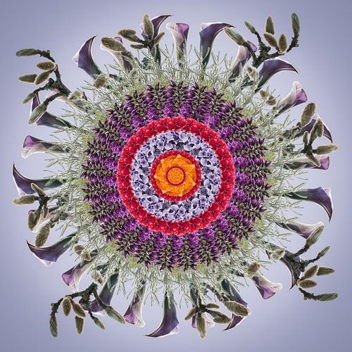 Poppy-mandala