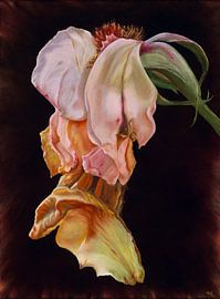 Goodbye English Rose by Nanda Hoep