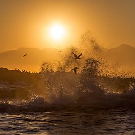 Splashing sunrise at Seal Island by Peter Leenen