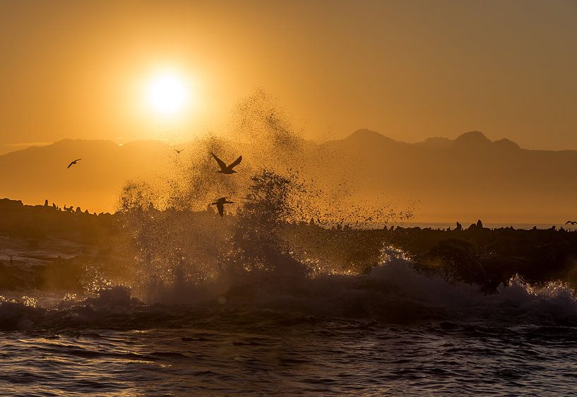 Spritzender Sonnenaufgang auf Seal Island von Peter Leenen
