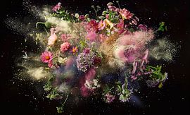 explosion by Hetty Lamboo