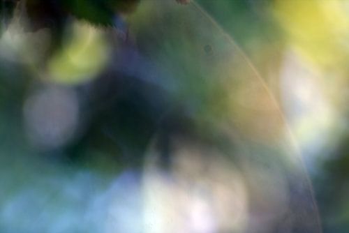 Wazig-fotografie-wazig