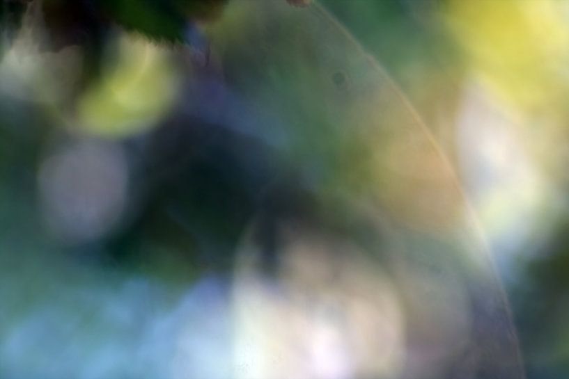 Blurred-photography-blurred by arte factum berlin