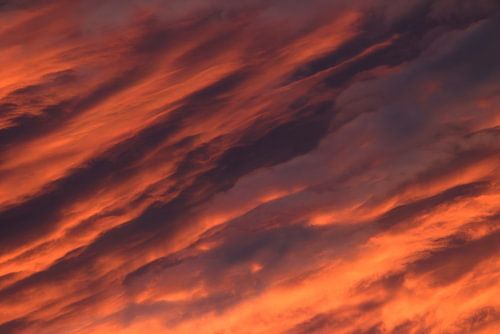 EXPANDED RED von FluMiSign