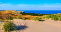 Grey dunes in the early morning