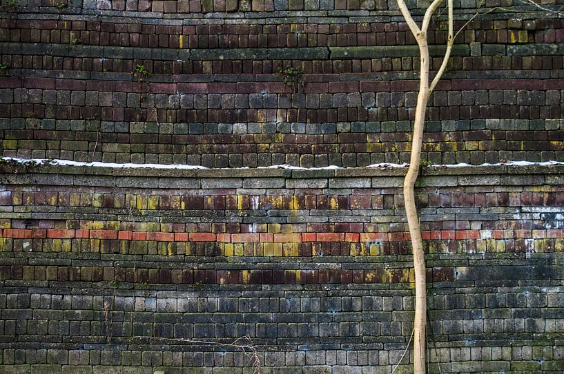 colors and patterns no.1 by Robin Veenink