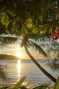 Sonnenuntergang an einem idyllischen tropischen Strand (stehend)