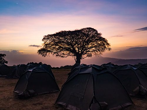 Kamperen bij avondzon