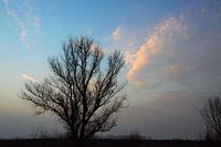Cloudy Glow