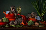 Still life Dogs in the pot by Elles Rijsdijk thumbnail